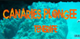 – CANARIES PLONGÉE – – CANARIES PLONGÉE –