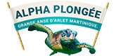 ALPHA PLONGÉE