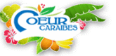 – HÔTEL COEUR CARAÏBES – – HÔTEL COEUR CARAÏBES –
