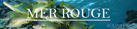 MER ROUGE