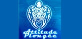 – ATTITUDE PLONGEE – – ATTITUDE PLONGEE –