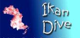 – IKANDIVE – BALIMOON DIVERS – – IKANDIVE – BALIMOON DIVERS –